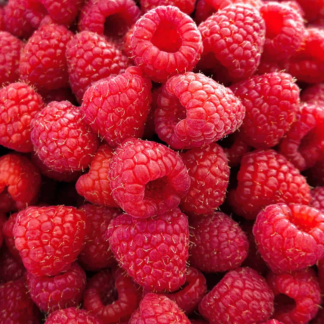 Raspberry (120ml)
