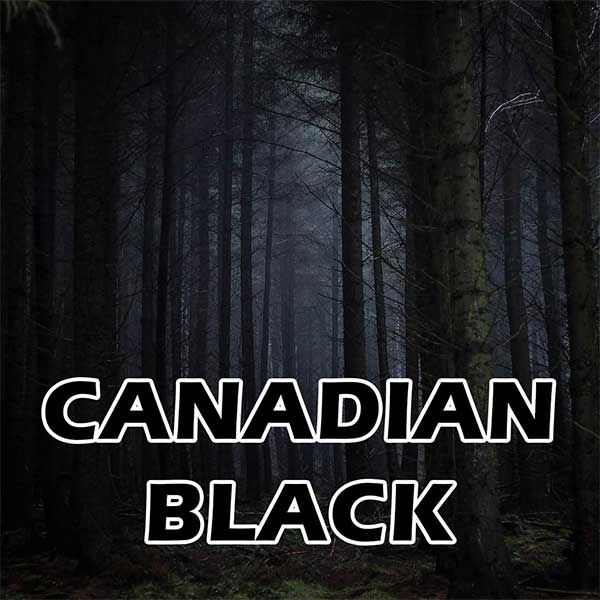 Canadian Black