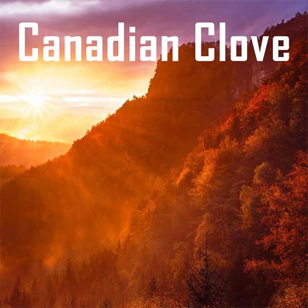 Canadian Clove