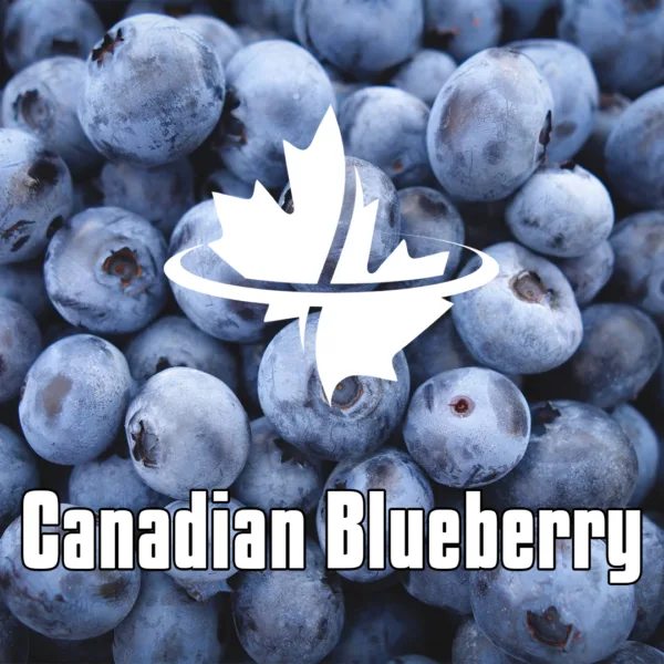 Canadian Blueberry with background of blueberry