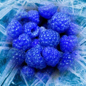 Blue Freeze Iced 2