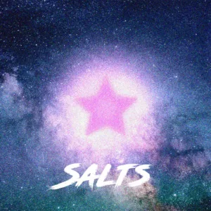 Pink Star Nic Salt 4