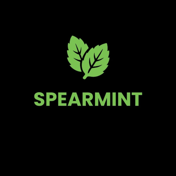 Spearmint