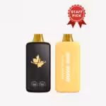 best disposable vapes canada - cv nova 30k