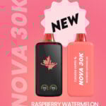 buy disposable vapes raspberry watermelon cv nova 30k canada vapes