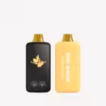 best disposable vapes canada - cv nova 30k