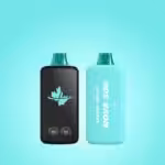 mint flavoured disposable vapes canada vapes