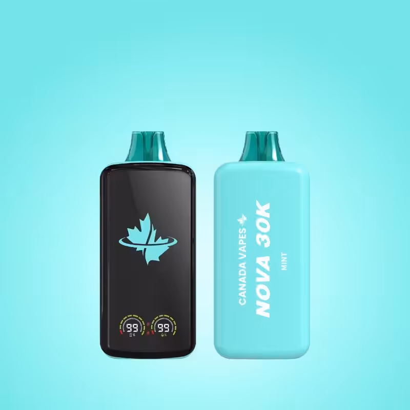 mint flavoured disposable vapes canada vapes
