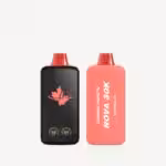 best disposable vapes canada - cv nova 30k